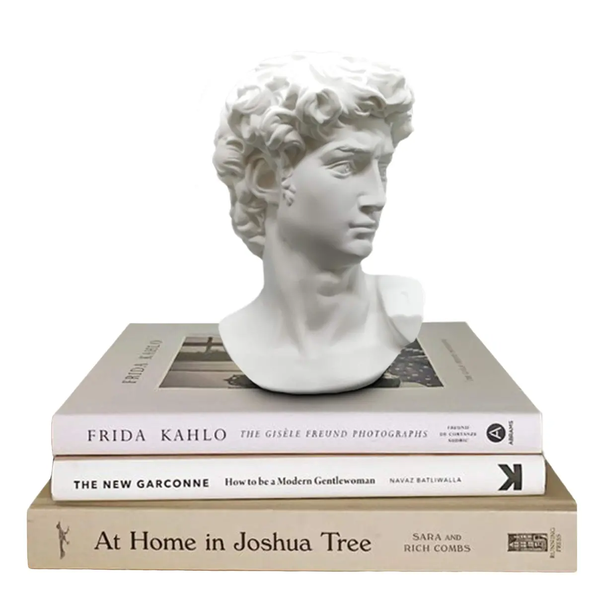 Banhey Greek Statue of David - Head Bust for Mythology and Roman Home Decor | 6-inch White Resin Bust - main product image