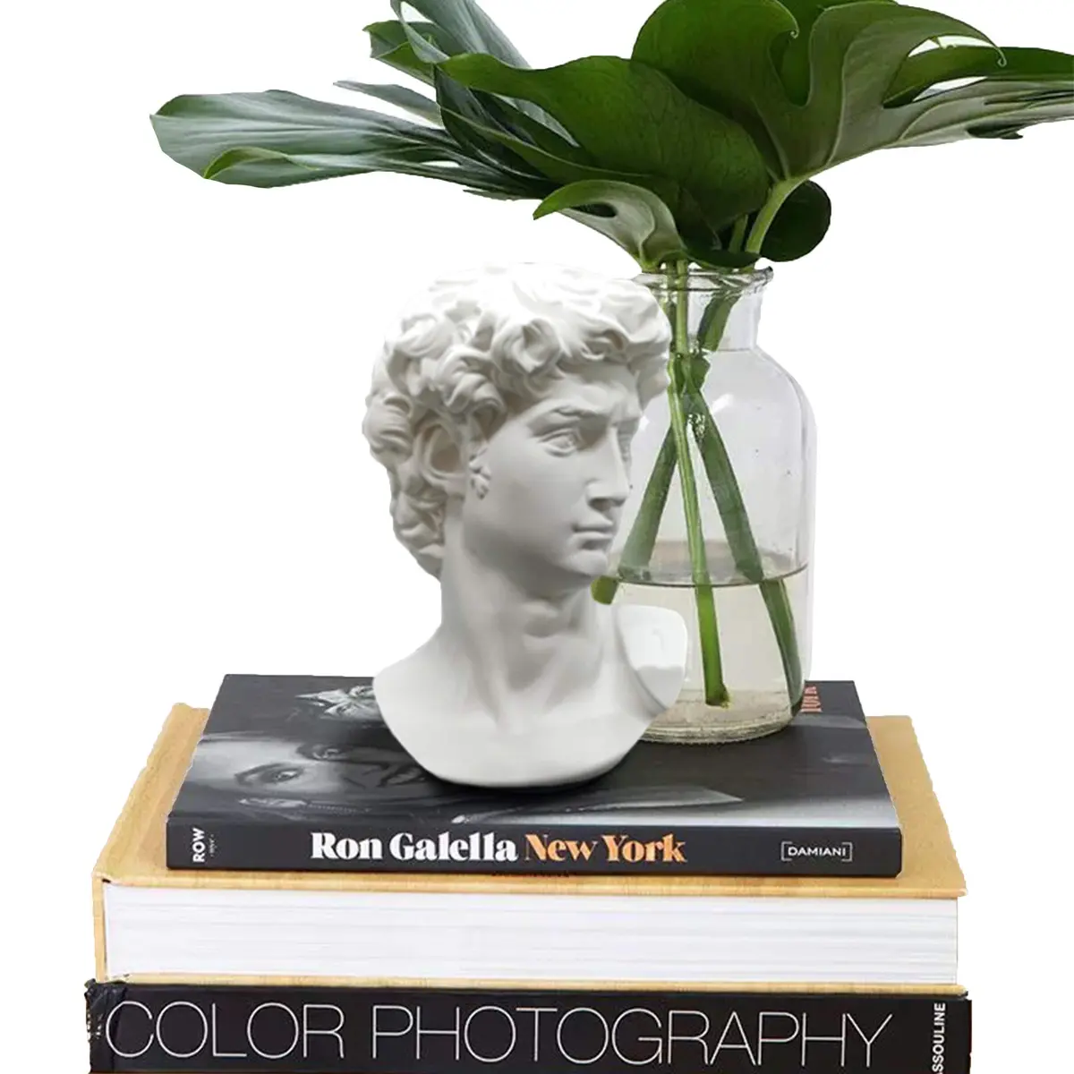 Banhey Greek Statue of David - Head Bust for Mythology and Roman Home Decor | 6-inch White Resin Bust - view 4