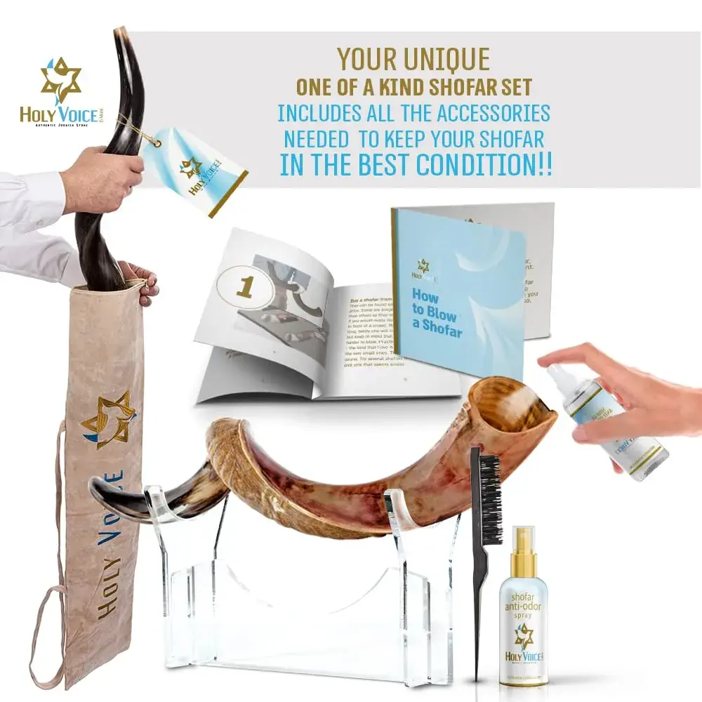 Holy Voice Kosher Kudu Shofar Horn 28"-32" | Traditional Half-Polished Yemenite Shofar - view 3