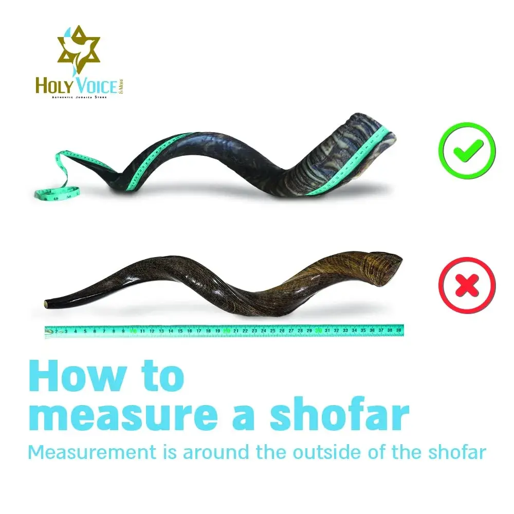 Holy Voice Kosher Kudu Shofar Horn 28"-32" | Traditional Half-Polished Yemenite Shofar - view 4