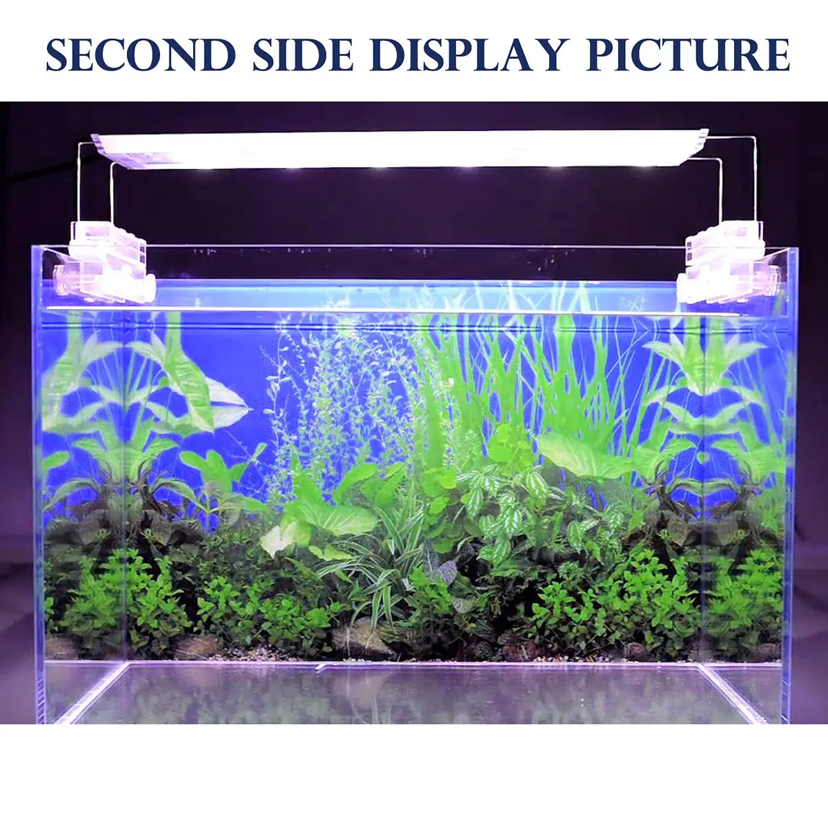ELEBOX Fish Tank Background Paper 20" x 48" | Colorful Seaweed Water Plants Aquarium Decor - view 5