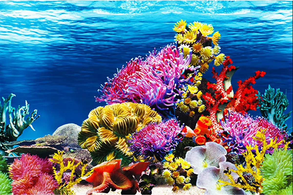 ELEBOX Fish Tank Background Paper 20" x 48" | Colorful Seaweed Water Plants Aquarium Decor - view 3