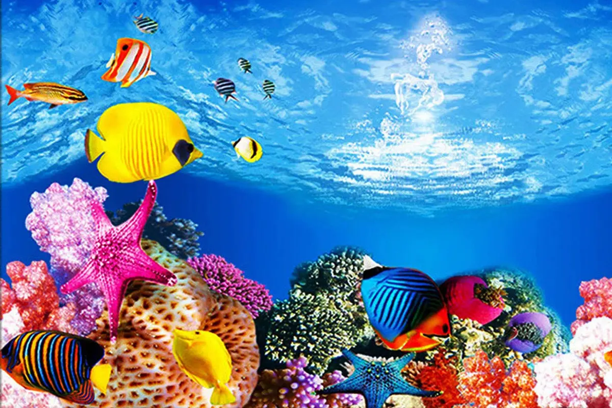 ELEBOX Fish Tank Background Paper 20" x 48" | Vibrant HD Aquarium Decor (70-120 chars) - view 2