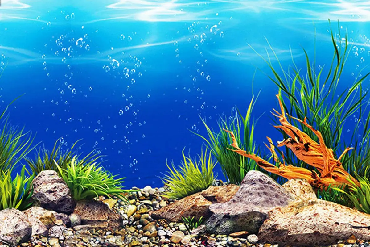 ELEBOX Fish Tank Background Paper 20" x 48" | Vibrant HD Aquarium Decor (70-120 chars) - view 3