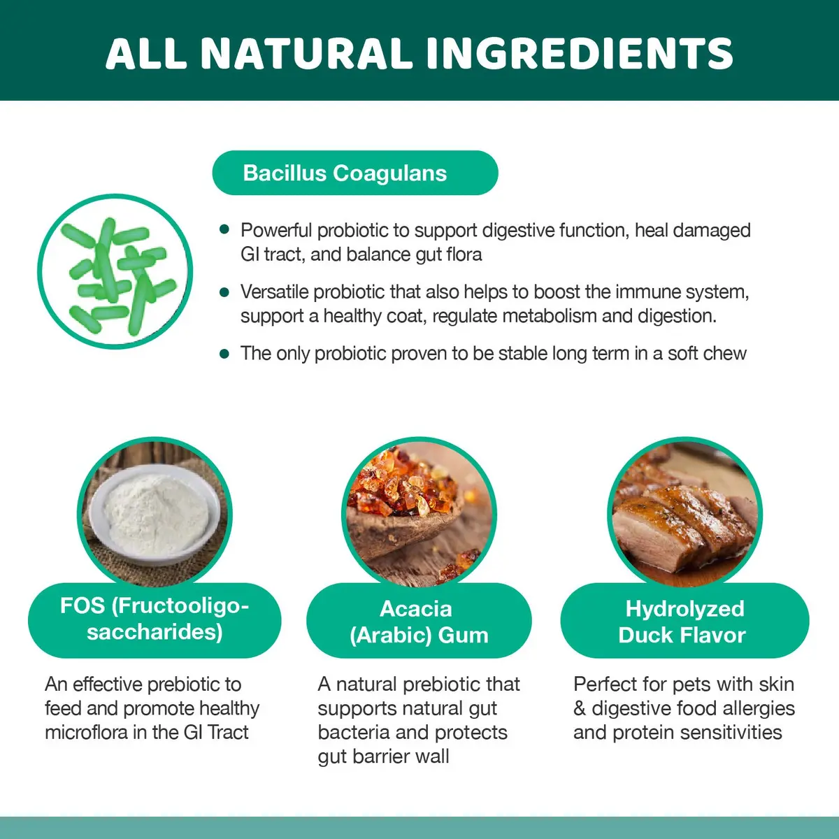 Wellnergy Daily Probiotic & Prebiotics Soft Chew for Dogs & Cats | Digestive & Immune Support (70-120c) - view 5
