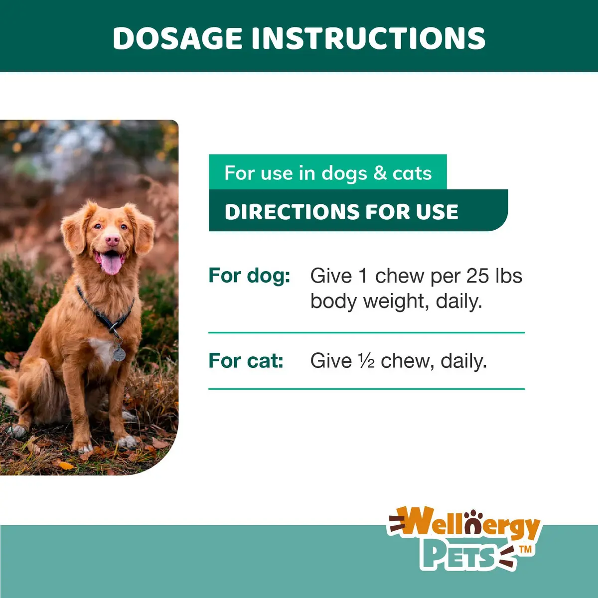 Wellnergy Daily Probiotic & Prebiotics Soft Chew for Dogs & Cats | Digestive & Immune Support (70-120c) - view 6