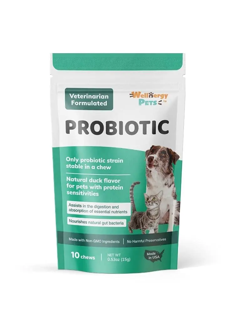 Wellnergy Daily Probiotic & Prebiotics Soft Chew for Dogs & Cats | Digestive & Immune Support (70-120c) - view 2