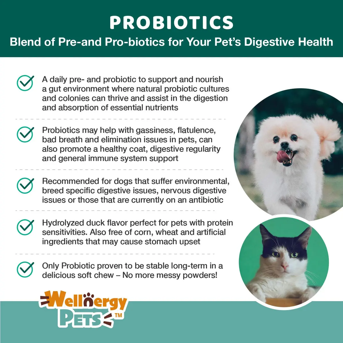 Wellnergy Daily Probiotic & Prebiotics Soft Chew for Dogs & Cats | Digestive & Immune Support (70-120c) - view 4