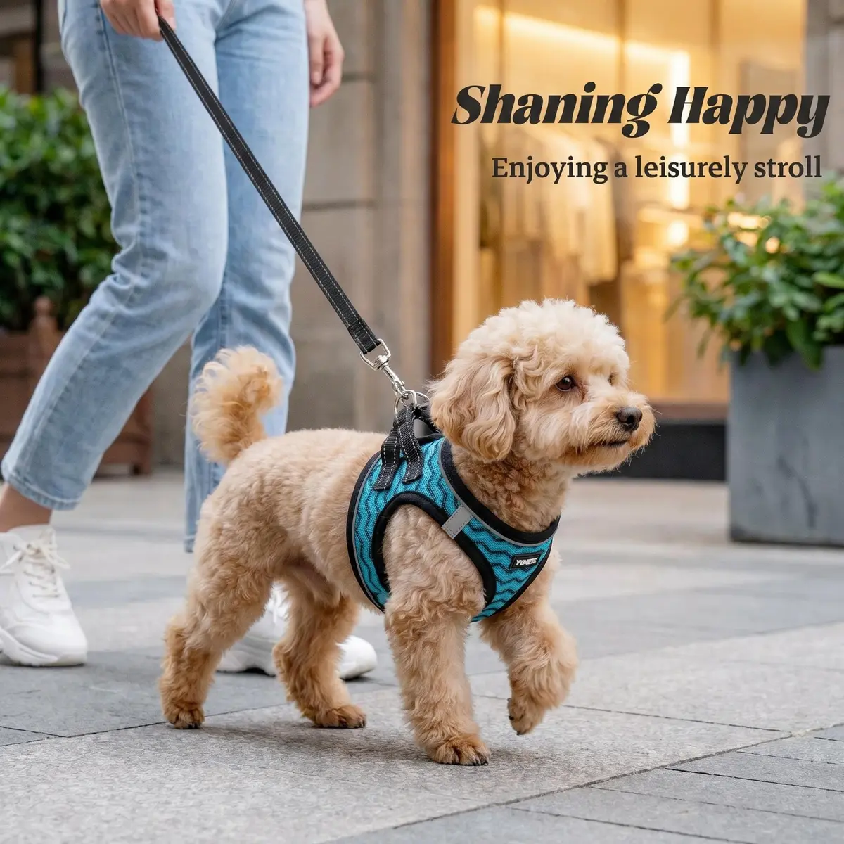 YIMEIS No Pull Dog Puppy Harness and Leash Set Reflective Mesh Vest Small | Breathable, Safety & Control - view 6