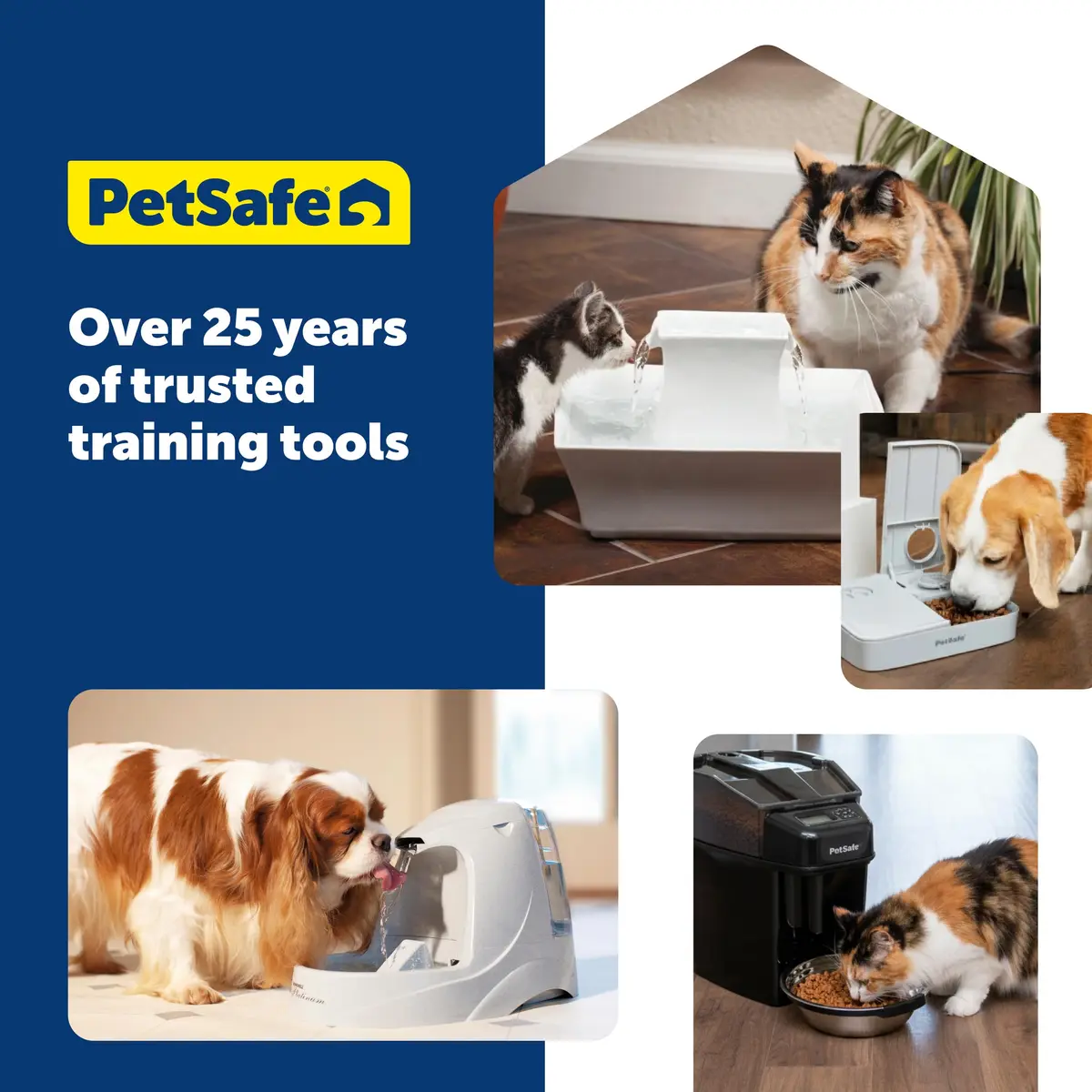 PetSafe Stainless Steel Dog and Cat Bowl, Grey, 5 Cup | Durable, Hygienic & Dishwasher Safe - view 8