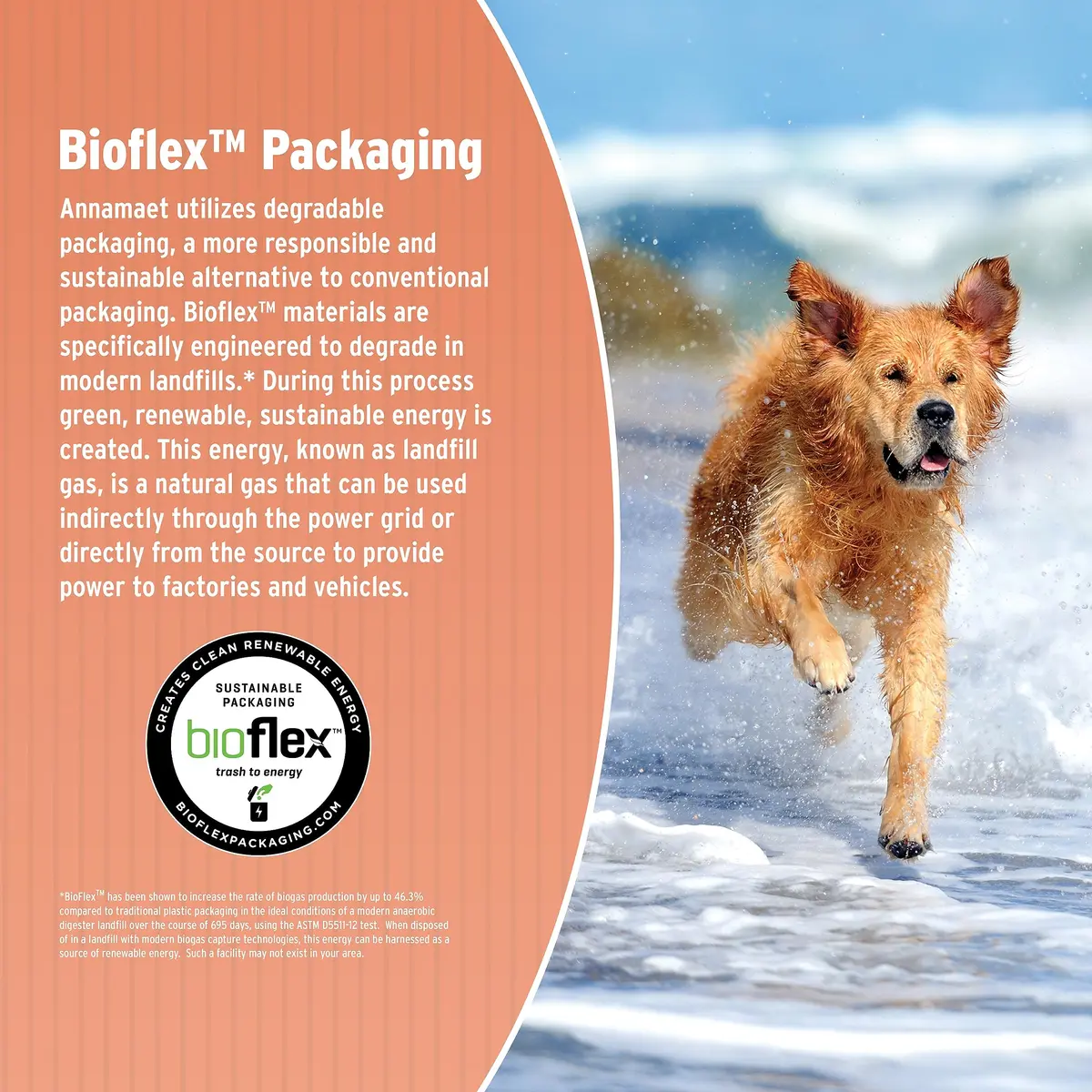 Annamaet Original Medium and Large Breed Formula Dry Dog Food 5 lb. Bag | 25% Protein with Chicken & Brown Rice - view 5