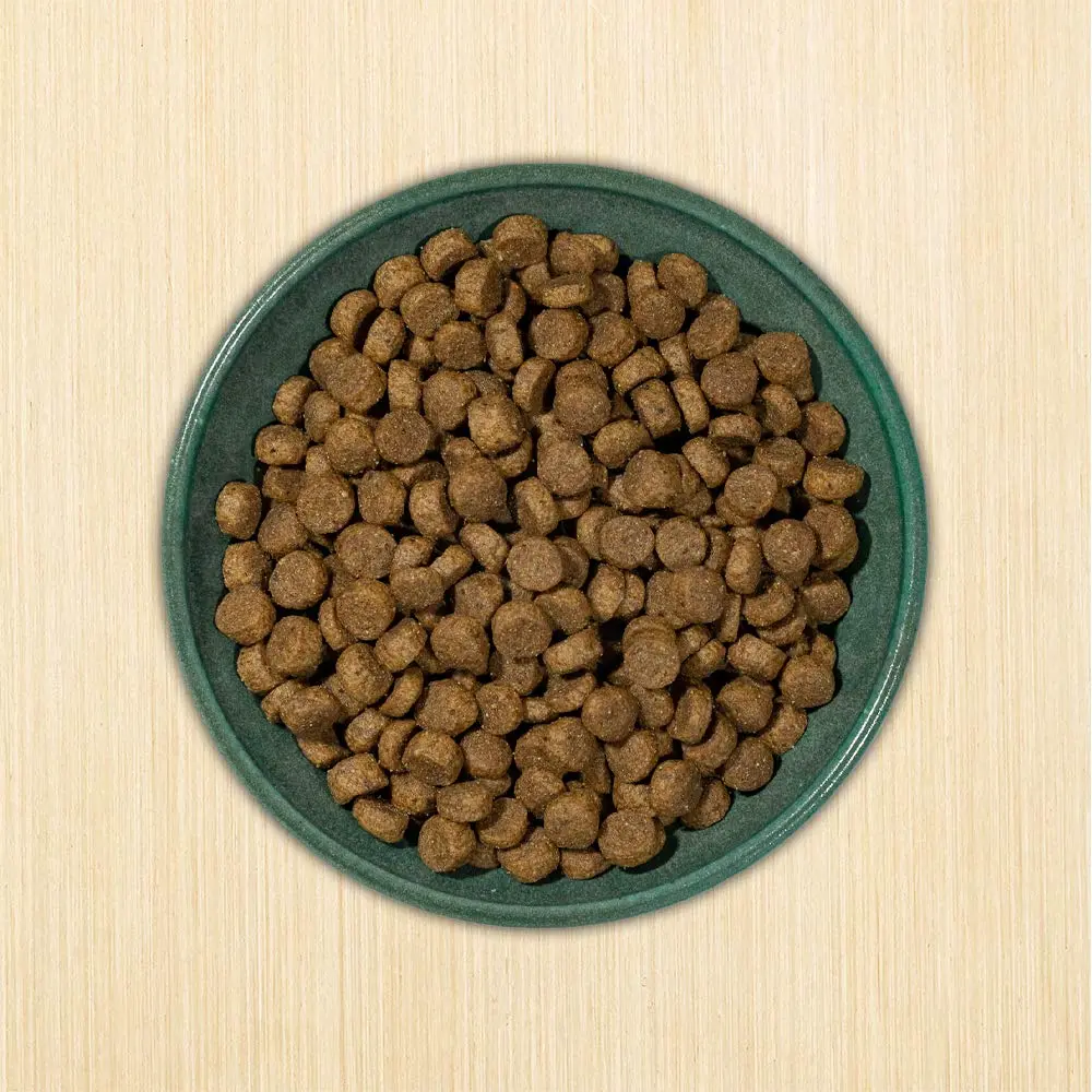 Annamaet Original Medium and Large Breed Formula Dry Dog Food 5 lb. Bag | 25% Protein with Chicken & Brown Rice - view 7