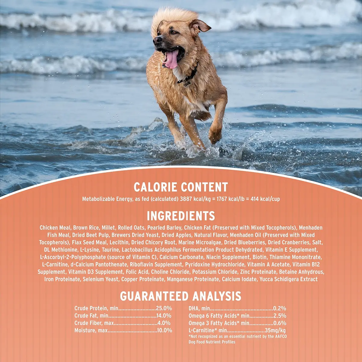 Annamaet Original Medium and Large Breed Formula Dry Dog Food 5 lb. Bag | 25% Protein with Chicken & Brown Rice - view 4