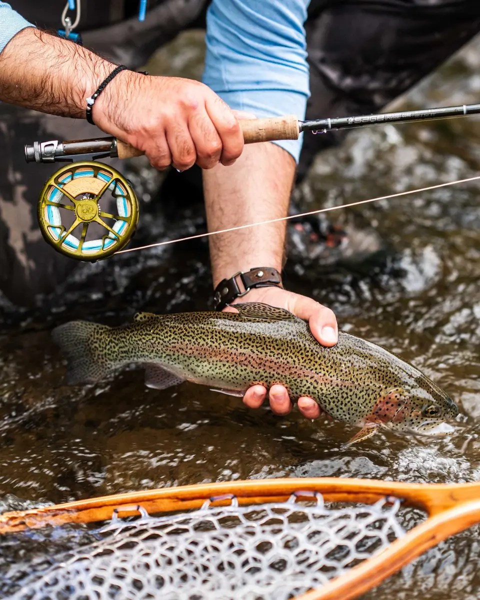 Ross Reels Colorado Fly Fishing Reel - 2/3, Matte Black | Lightweight Machined Aluminum - view 7