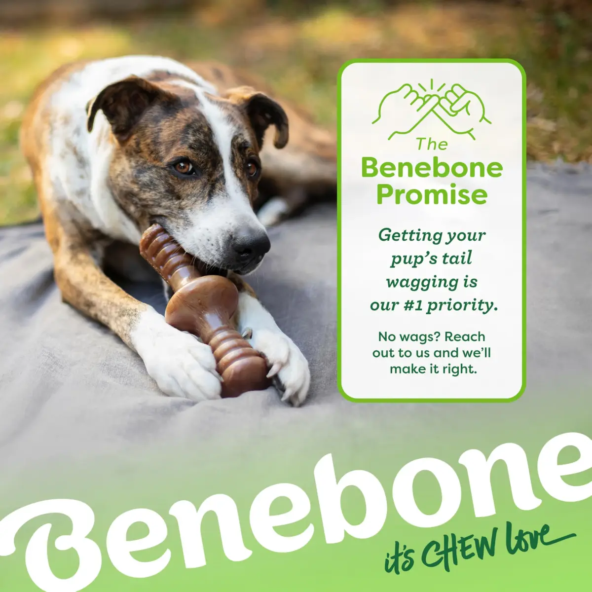 Benebone Zaggler Rolling Dog Chew Toy for Aggressive Chewers, Real Peanut, 6.6 oz (187 g) | Durable Interactive Toy - view 6