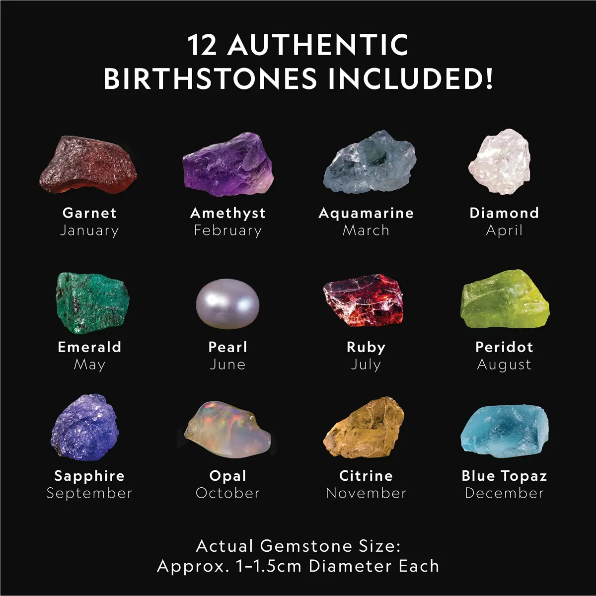 National Geographic Birthstone Dig Kit with 12 Genuine Gemstones & Tools | Ages 8+ - view 3