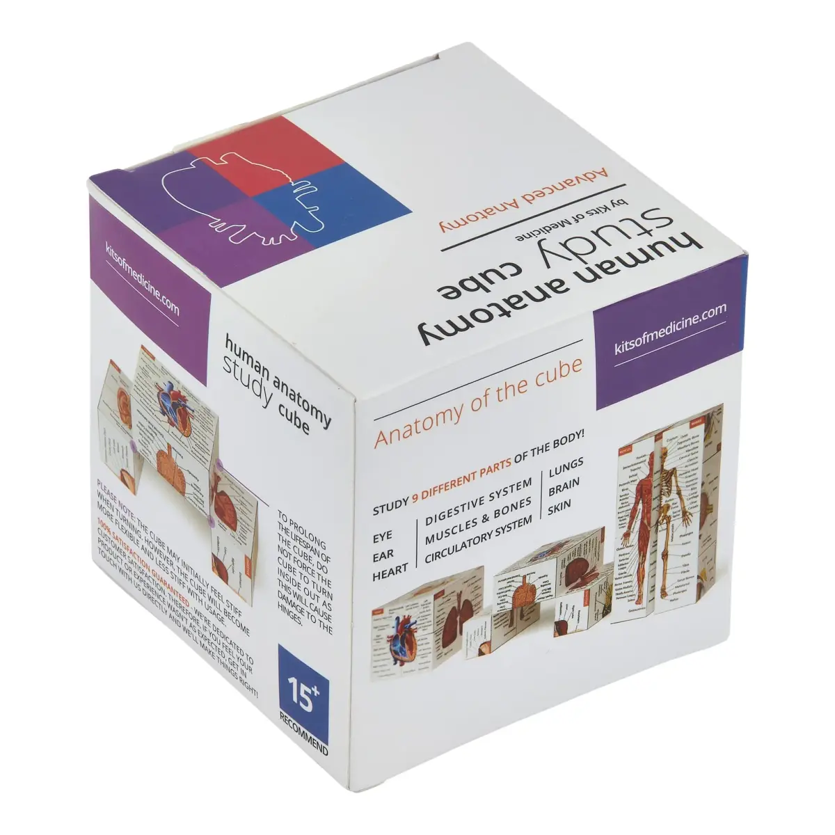 Kits of Medicine Human Anatomy Study Cube | 7cm Cube with 9 Body Parts | Revision Guide for Medical Students - view 7