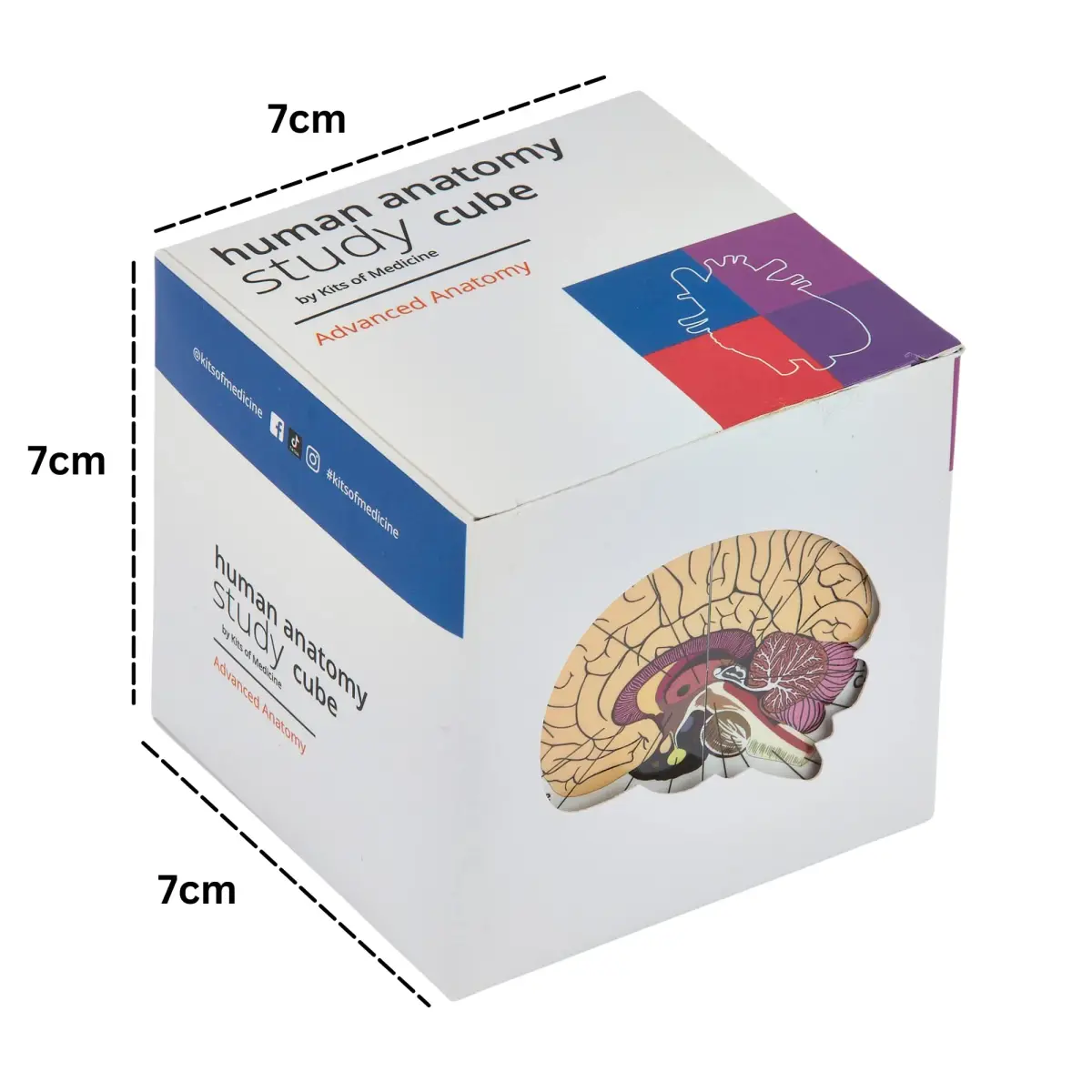 Kits of Medicine Human Anatomy Study Cube | 7cm Cube with 9 Body Parts | Revision Guide for Medical Students - view 2