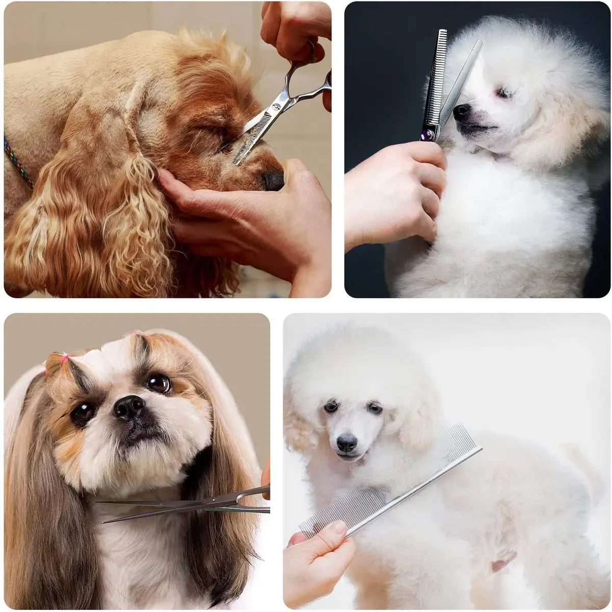 Maxshop Dog Grooming Scissors Set of 3 | Professional Pet Trimmer Kit with Safety Round Tips - view 7