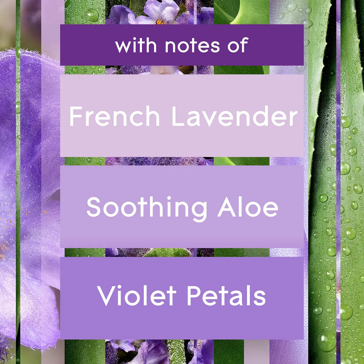 Glade Automatic Spray Air Freshener Refill, Tranquil Lavender & Aloe, 6.2 Fl Oz (184ml) Each (3 Count) | Timed Fragrance Release for Home & Office - view 3