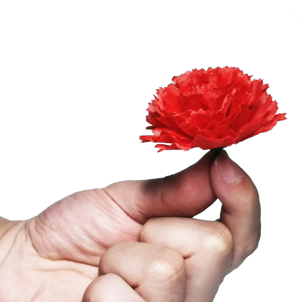 Gusaloo Red Marigold Flower Heads Bulk 50Pcs, Silk Artificial Flowers 5-6cm | Realistic Style for Diwali Home Decor - view 6