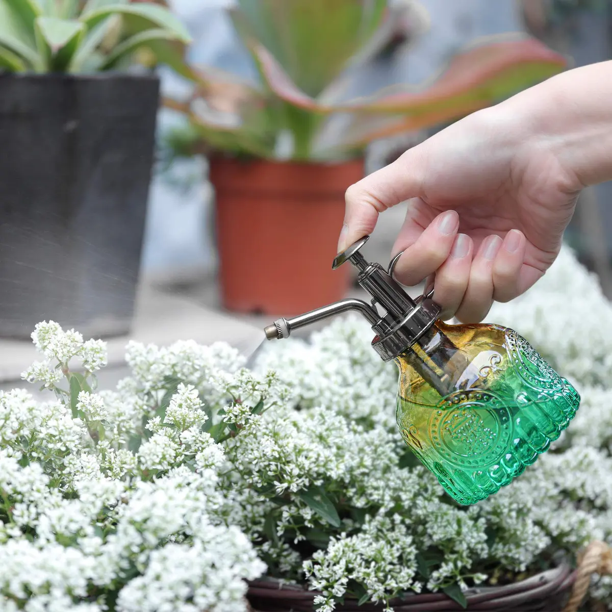 T4U Glass Plant Mister 200ML | Vintage Spray Bottle for Indoor & Outdoor Plants - view 8