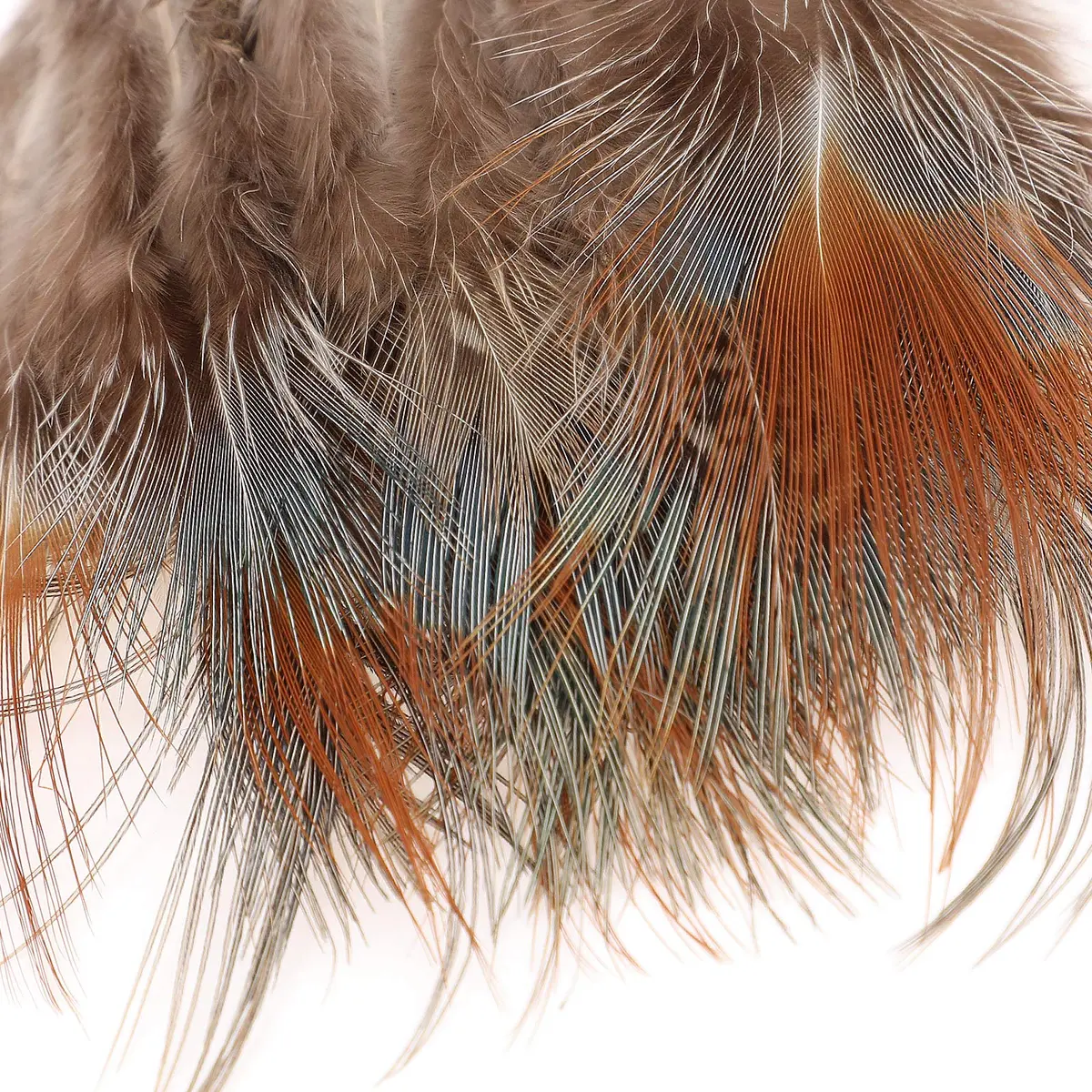 MWOOT Assorted Craft Feathers 180Pcs | Natural Chicken Feathers for DIY Crafts & Decorations - view 5
