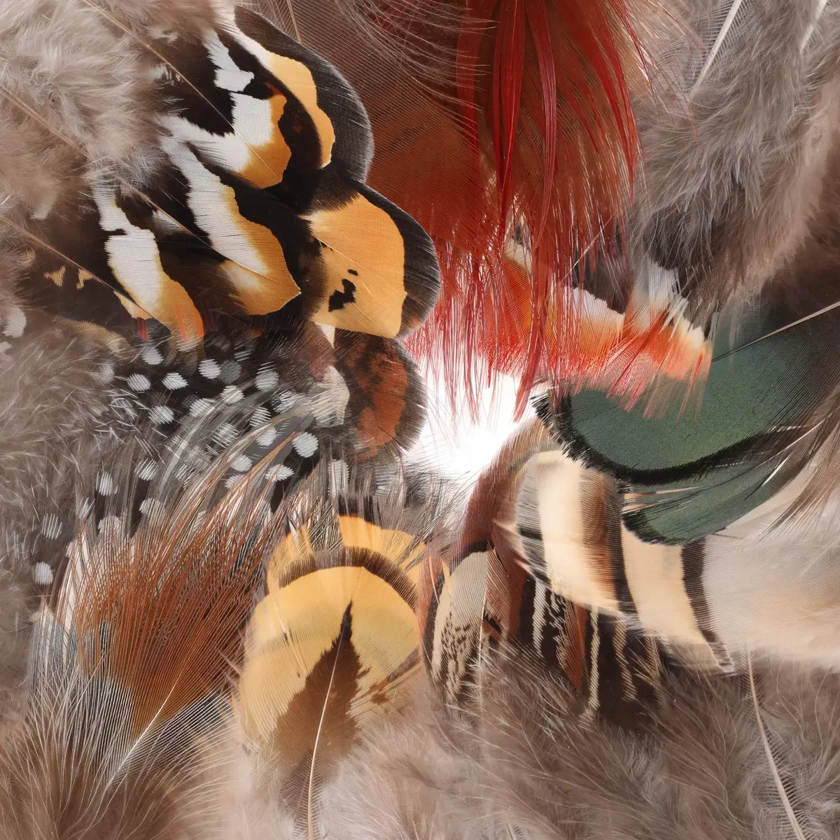 MWOOT Assorted Craft Feathers 180Pcs | Natural Chicken Feathers for DIY Crafts & Decorations - view 9