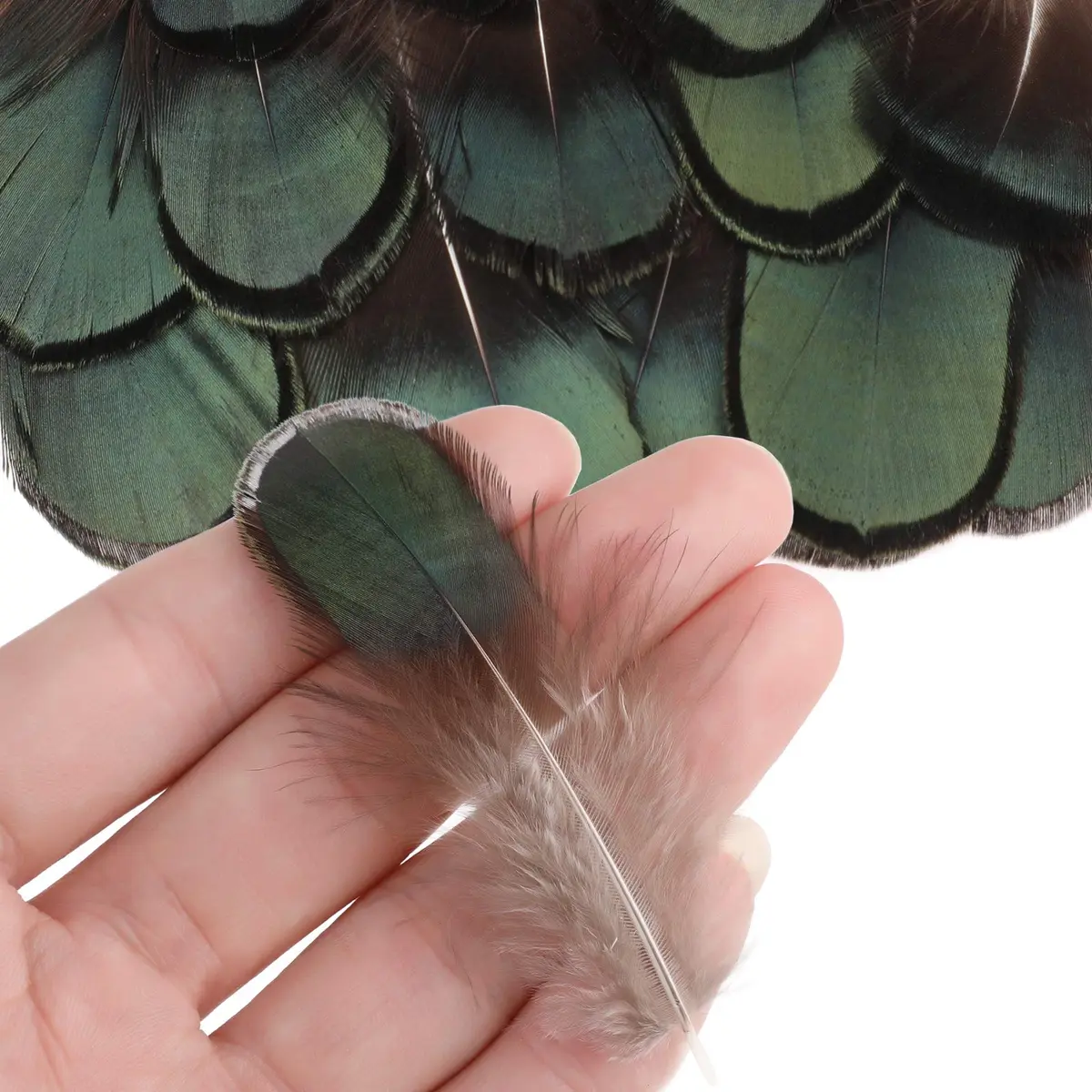 MWOOT Assorted Craft Feathers 180Pcs | Natural Chicken Feathers for DIY Crafts & Decorations - view 4