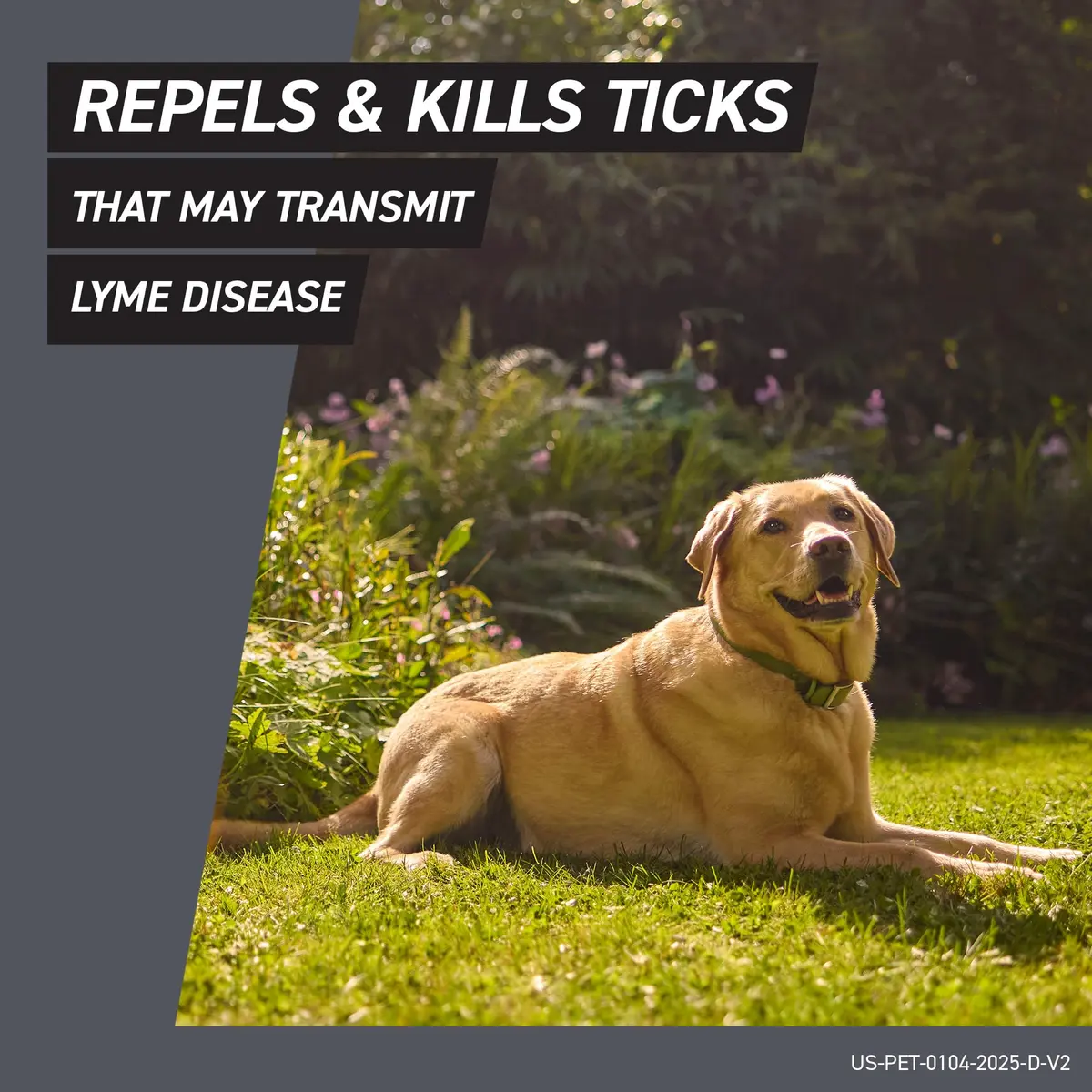 Frontline Shield Flea & Tick Treatment for Large Dogs 41-80 lbs. | Waterproof Monthly Protection - view 5