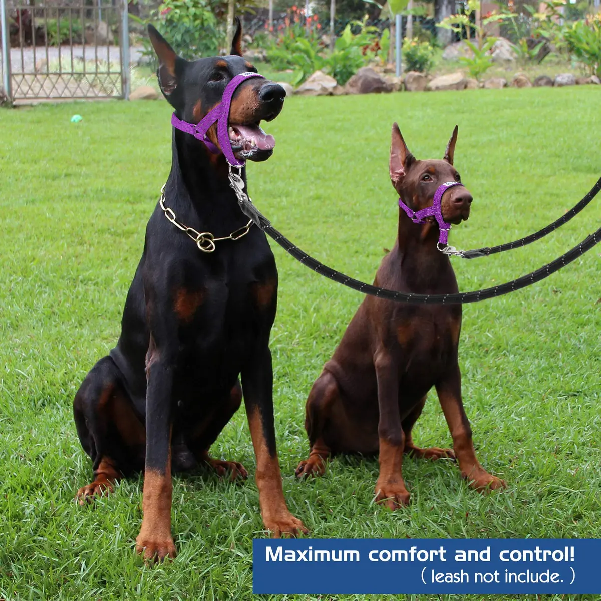 Pawaboo Dog Muzzle Head Halter Collar for Dog Nylon Reflective Adjustable | Stress-Free Control for Small Dogs - view 7