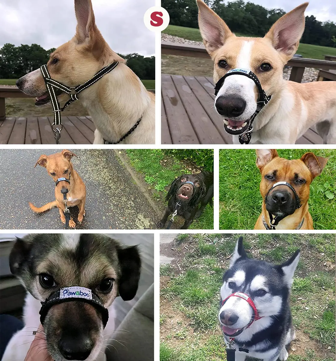 Pawaboo Dog Muzzle Head Halter Collar for Dog Nylon Reflective Adjustable | Stress-Free Control for Small Dogs - view 3