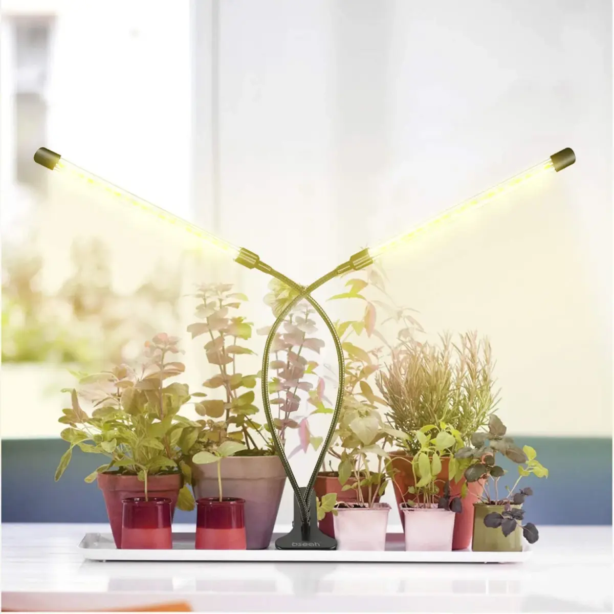 bseah Full Spectrum LED Grow Light 10W (0.35 oz) with Timer & Dimmable Levels | For Indoor Plants - view 5