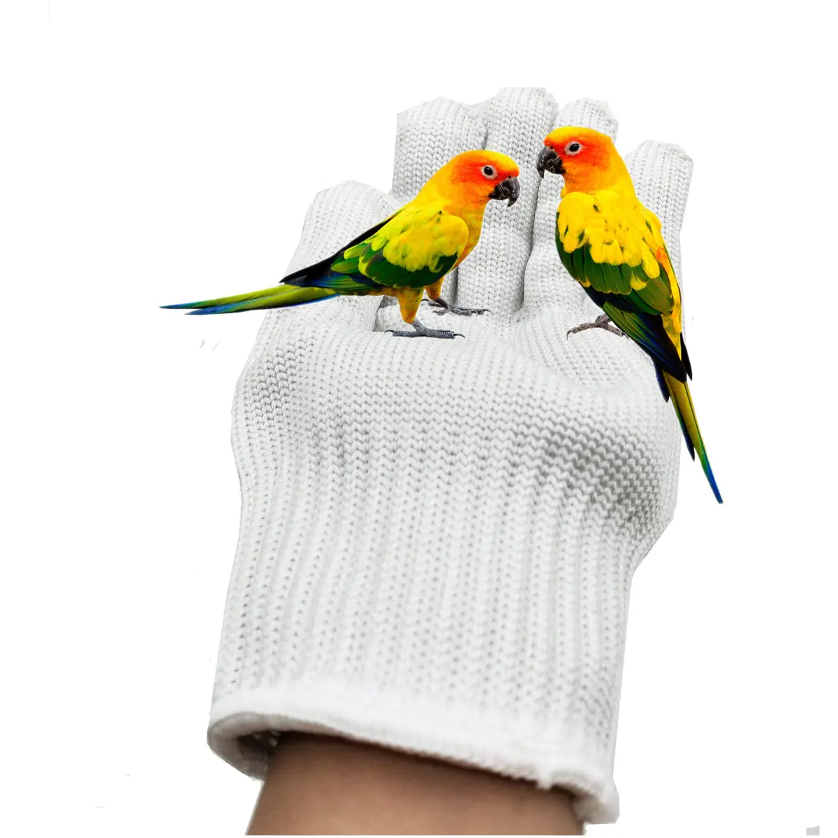 alfyng Bird Training Anti-Bite Gloves, Small Animal Handling Gloves for Parrots, 24cm (9.4 in) | Skin-Friendly & Bite Resistant - view 4