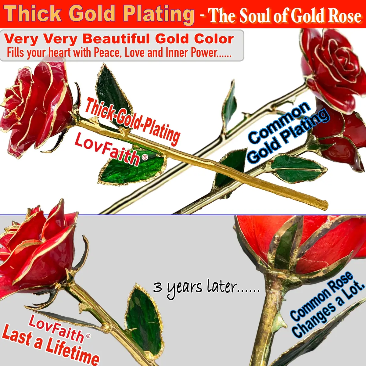 LovFaith 24K Gold Dipped Rose with Crystal Vase | Real Rose Preserved in Gold, Elegant Gift for Her - view 2