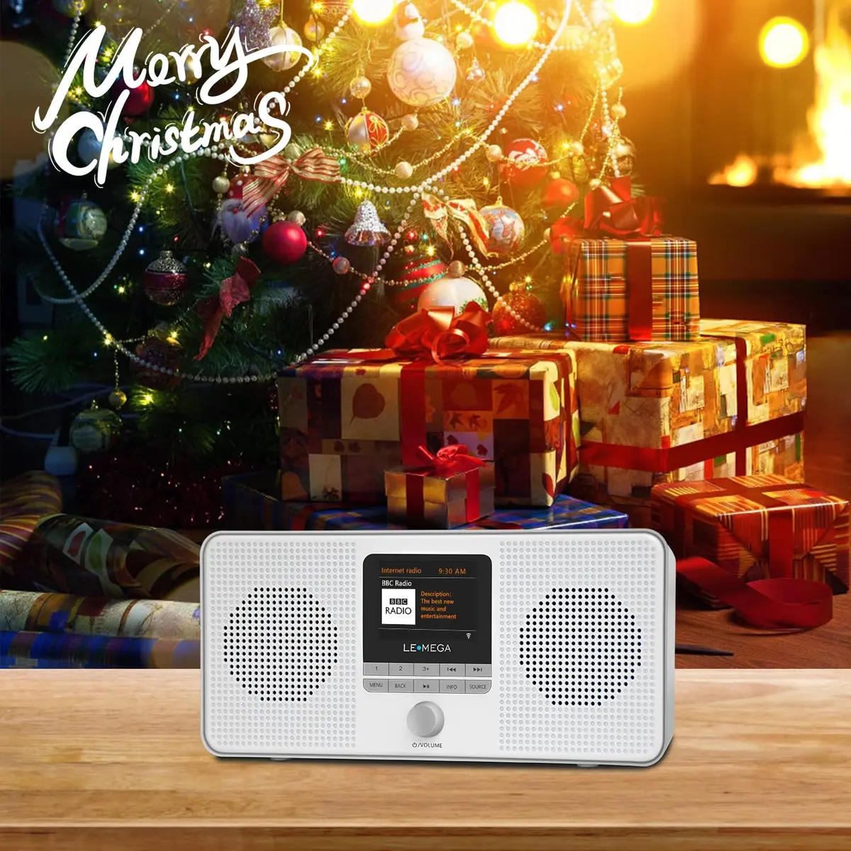 LEMEGA IR4S Internet Radio, Podcasts, Spotify, Bluetooth, FM Stereo, Gray | 23.4cm (9.2in) Length - view 8
