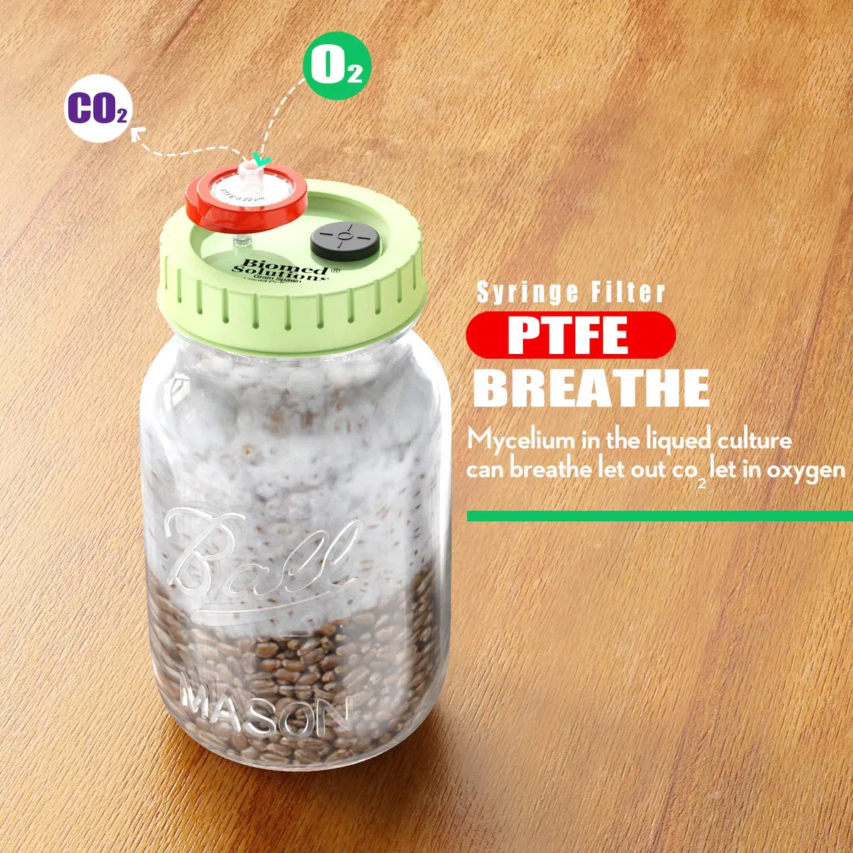 Biomed Solutions 6Pcs Regular Mouth Mushroom Liquid Culture Lids 70mm | Autoclavable & Reusable for Mycology - view 5