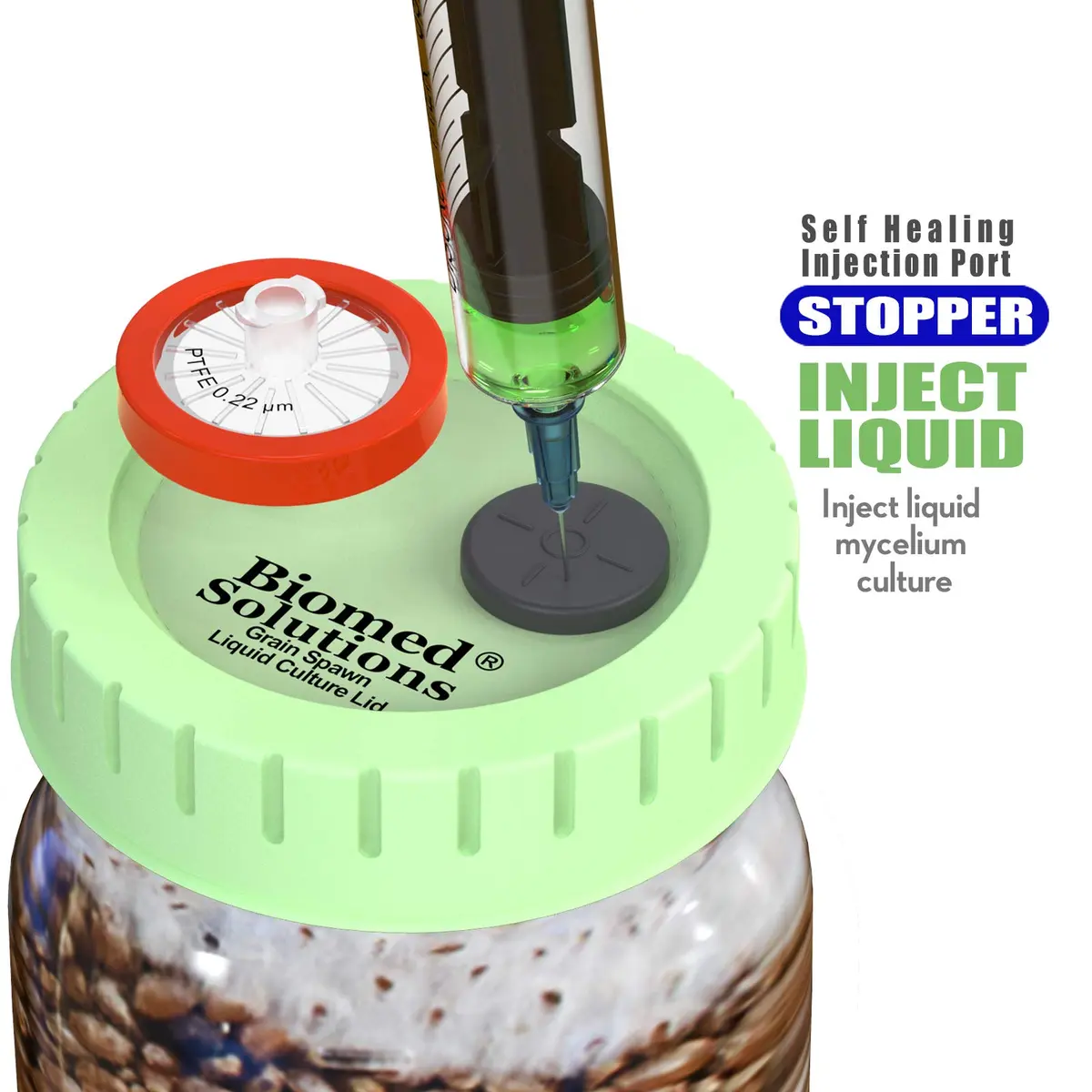 Biomed Solutions 6Pcs Regular Mouth Mushroom Liquid Culture Lids 70mm | Autoclavable & Reusable for Mycology - view 6