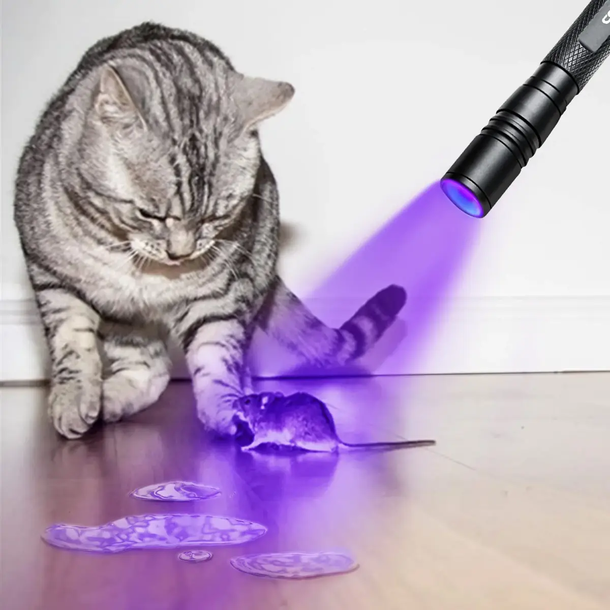 COSMOING 395nm Zoomable UV Blacklight Flashlight 3-Pack | Detects Invisible Pet Stains & Counterfeit Ink - view 6
