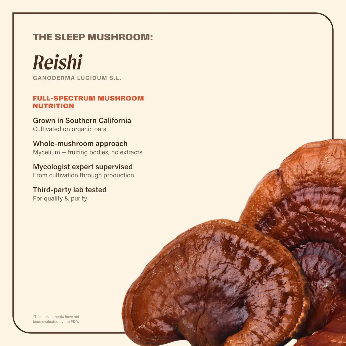 OM MUSHROOM SUPERFOOD Sleep Mushroom Capsules 90 Count | Supports Rest & Sleep Quality - view 3