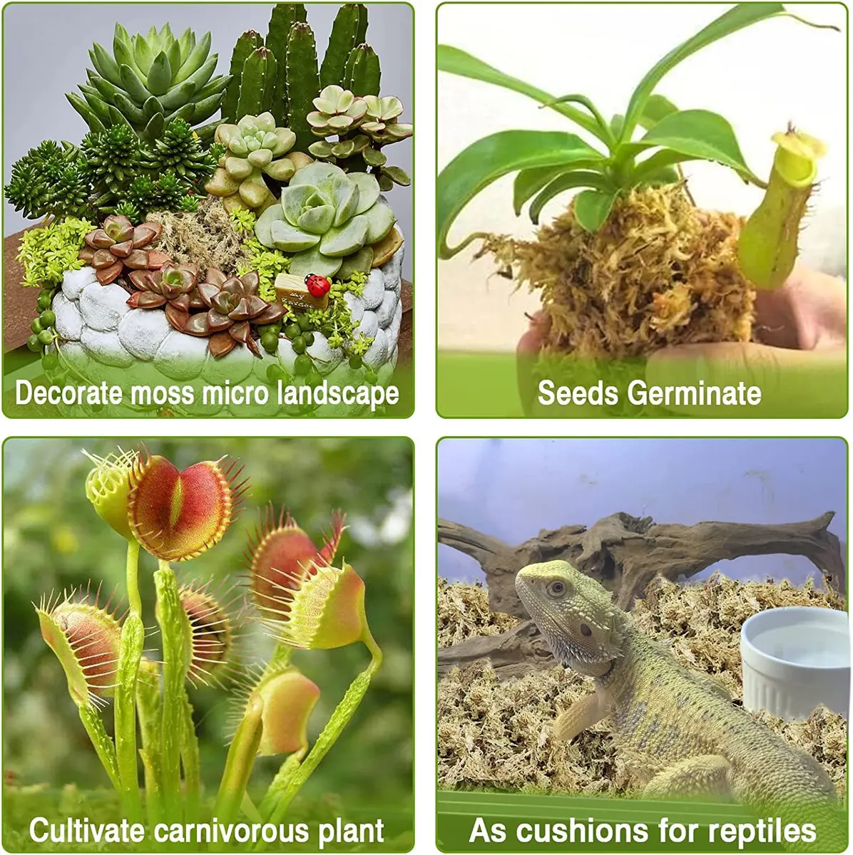 Legigo 4 QT Natural Sphagnum Moss Potting Mix | Moisture-Retentive for Orchids & Carnivorous Plants - view 5