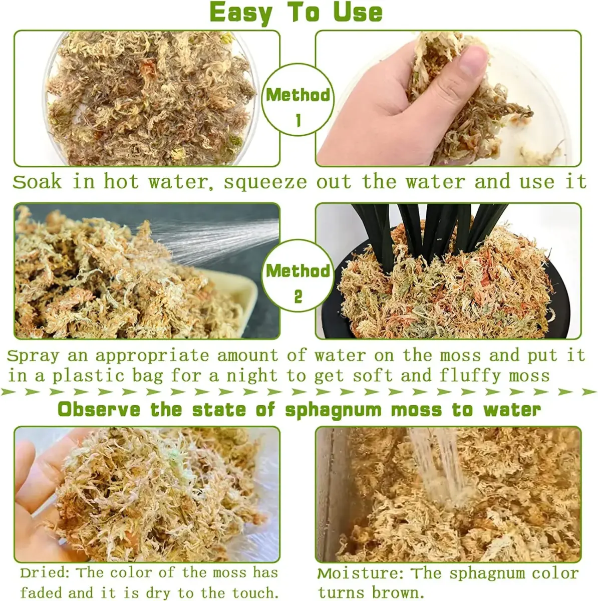 Legigo Premium Sphagnum Moss - 4 QT (3.5 oz) | Natural Long Fiber Soil for Orchids & Succulents - view 4