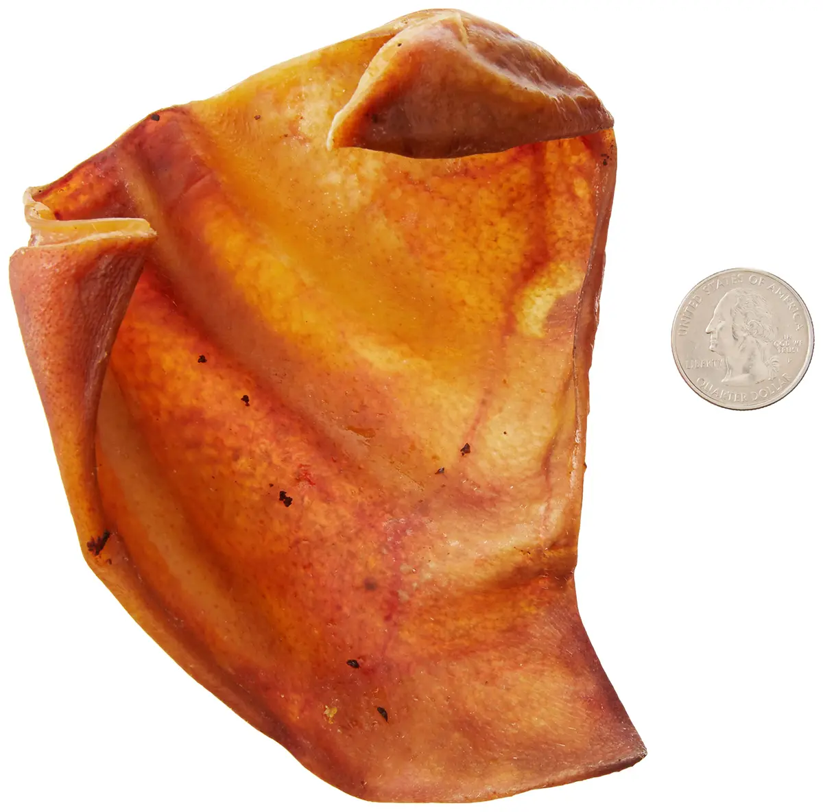 Wonder Bound Whole Pig Ears Dog Treats, Pork, 6 oz (170 g) | Supports Dental Health & Digestibility - view 4