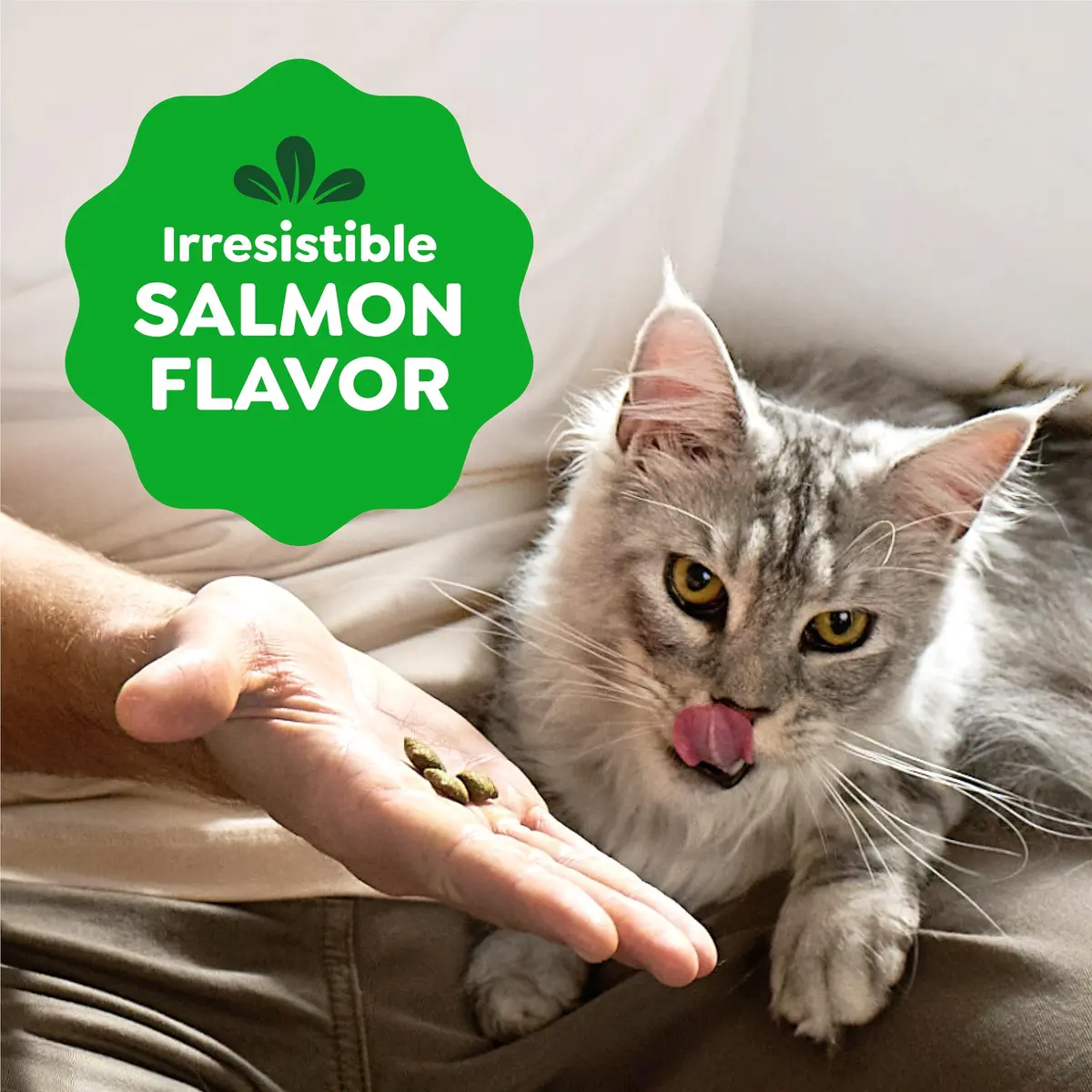 Greenies Feline Smartbites Skin & Fur Health Cat Treats, Salmon, 16 oz | Omega-3 & Flaxseed Support Skin & Coat - view 7