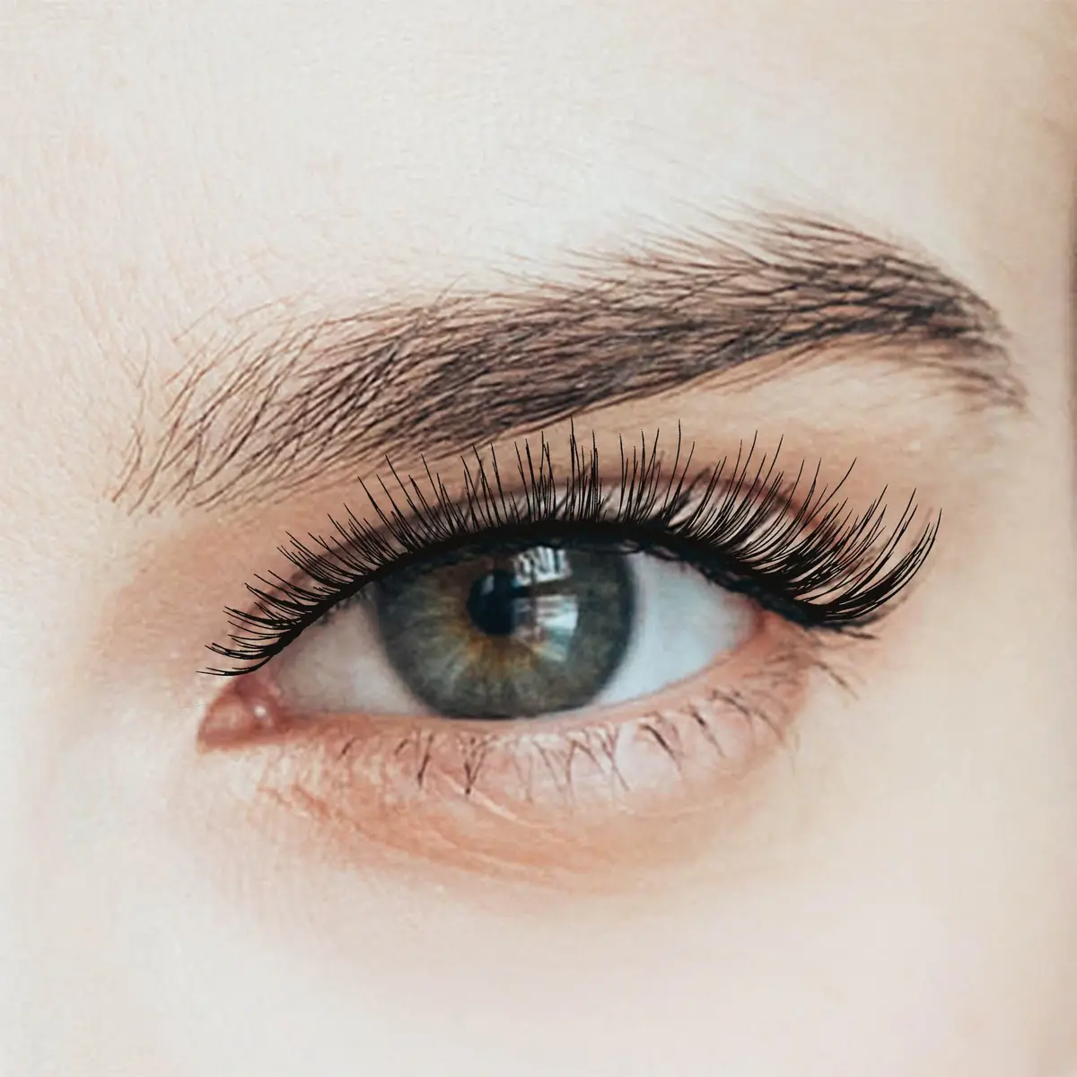 KISS False Eyelashes Sultry 12 mm | Reusable, Contact Lens Friendly, Easy to Apply - view 2