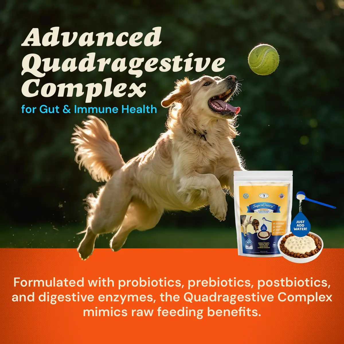 CLEAR CONSCIENCE PET® Arfredo SuperGravy Dog Food Topper Hydration Broth Mix 13.5 oz | Greek Yogurt & Cheese Blend for All Life Stages - view 4