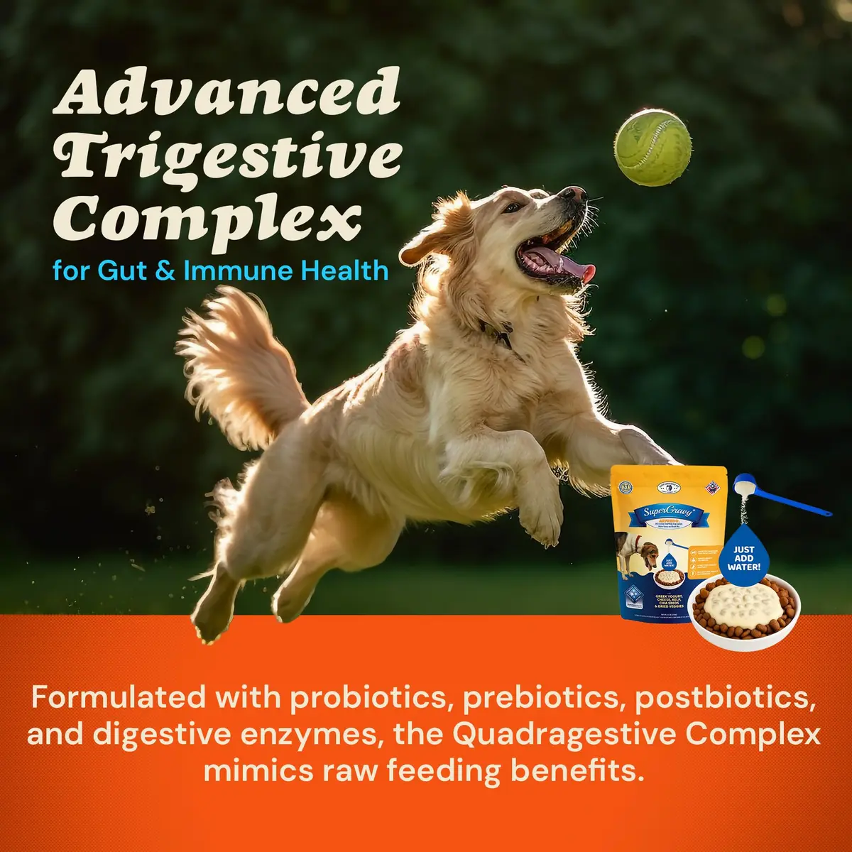 CLEAR CONSCIENCE PET® Arfredo SuperGravy Dog Food Topper Hydration Broth Mix Greek Yogurt Cheese Blend 9 oz. | All Life Stage - view 4