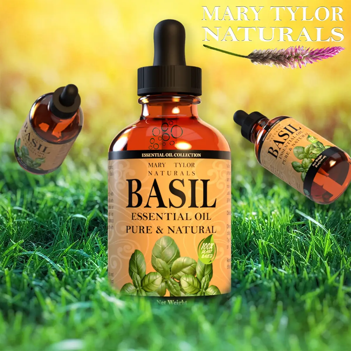 Mary Tylor Naturals Basil Essential Oil 1 oz | Pure Therapeutic Grade Aromatherapy - view 4