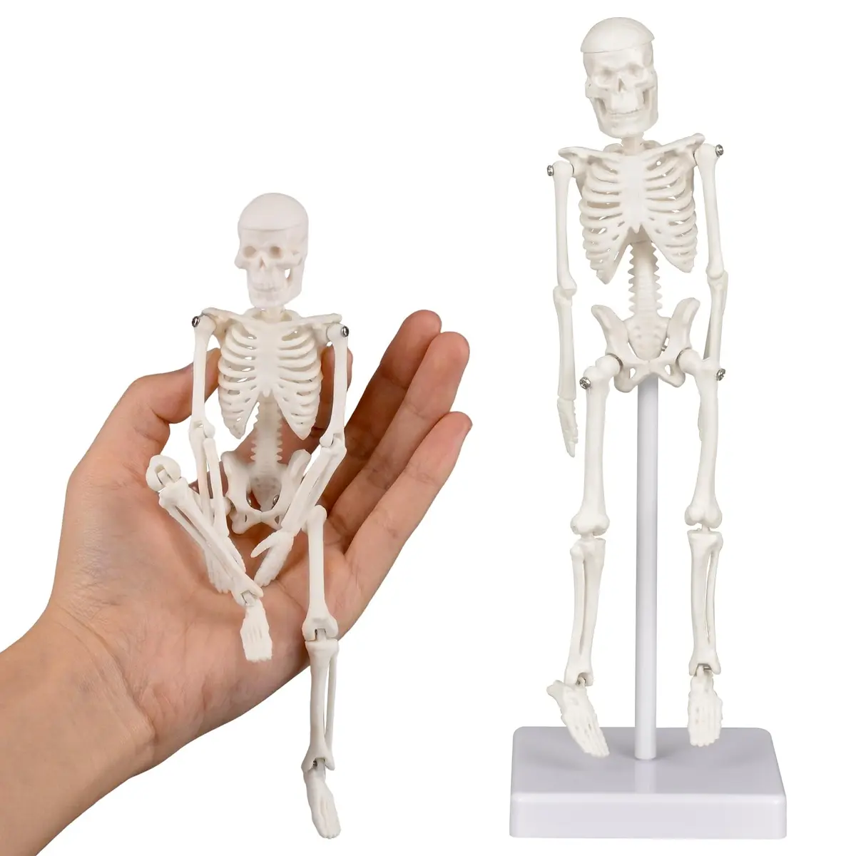 Ultrassist Human Skeleton Model, 7.8" Anatomy Skeleton Figure, Movable Joints, Teaching & Decor - main product image