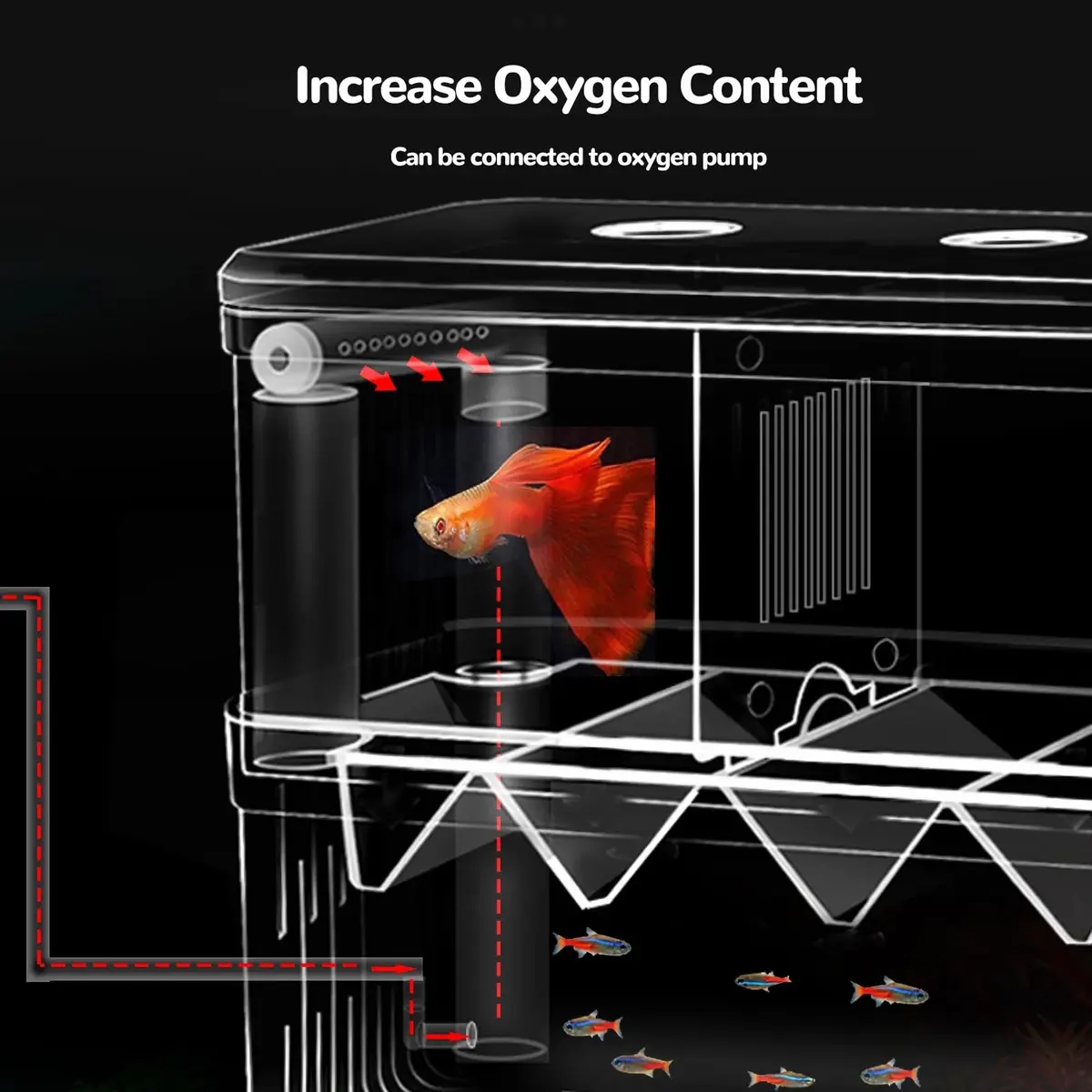 J-star Extra Large Fish Breeder Box for Aquarium Tank, Acrylic Breeding Box for Guppy/Betta/Shrimp, Baby Fish Hatchery & Isolation Tank | Acrylic, Transparent, XL - view 6